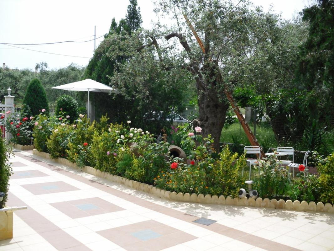 Ioli Apartments Limenas  Exterior foto