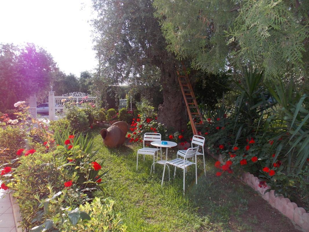 Ioli Apartments Limenas  Exterior foto